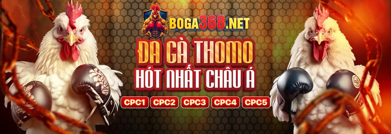 Hệ thống bảo mật tối ưu của Onbet Pet